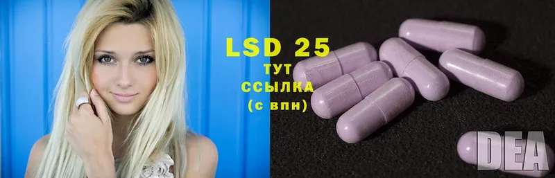 LSD-25 экстази кислота  закладка  Новая Ляля 